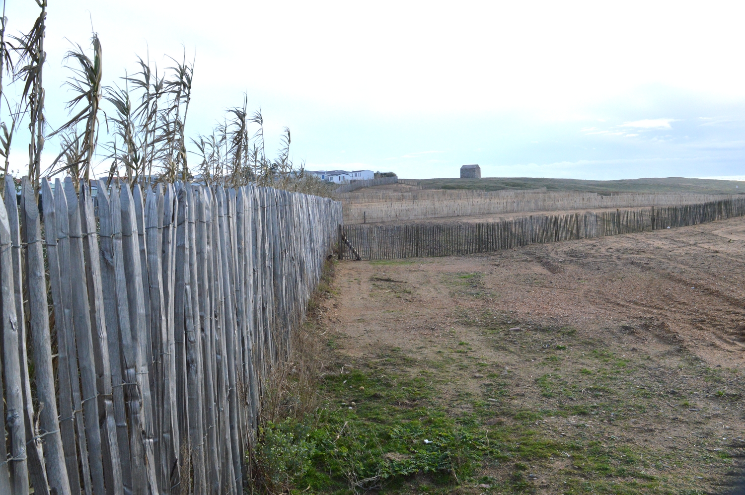 camping des dunes (1)