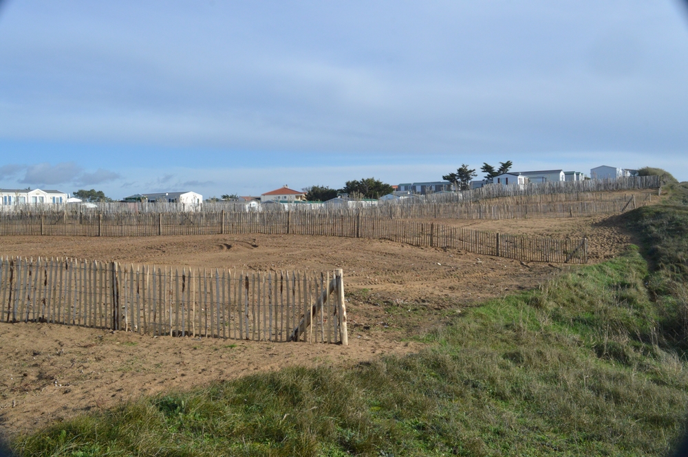 camping des dunes (6)