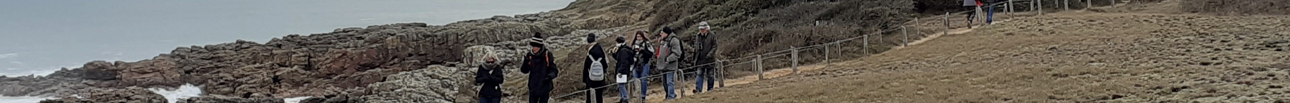 Sortie Bois St-Jean 4 décembre 2022