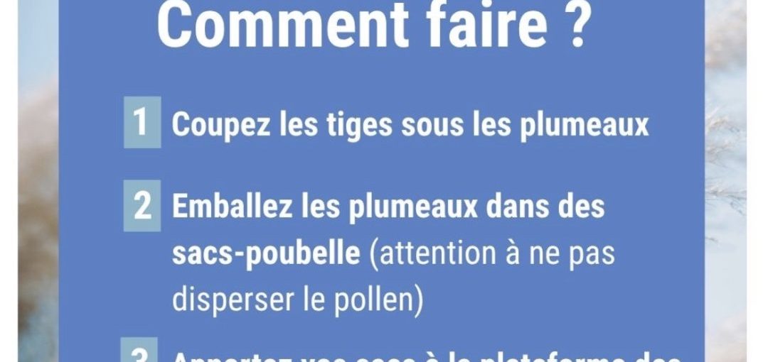 Campagne d'arrachage des EEE
