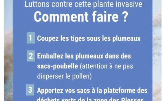 Campagne d'arrachage des EEE